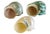 2010s Ivory, Jade & Turquoise Seashells - Set of 3 For Sale - Image 5 of 10