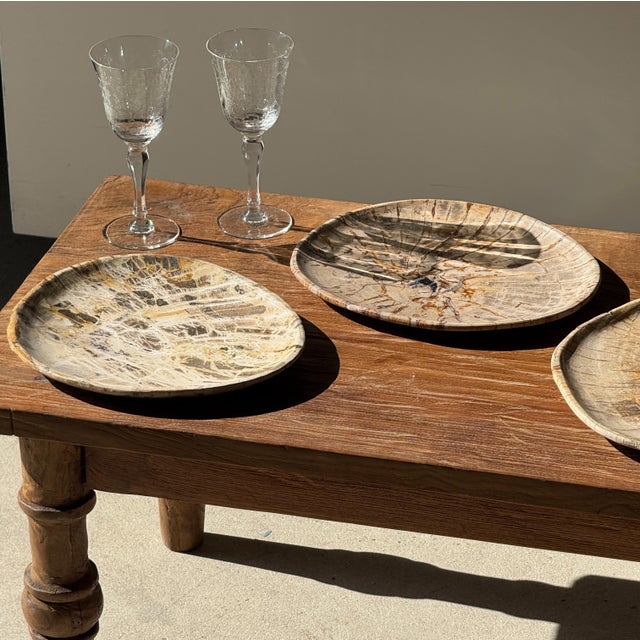 Small Oval Trinket Dish or Tray in Plain Beige Petrified Wood For Sale - Image 3 of 18