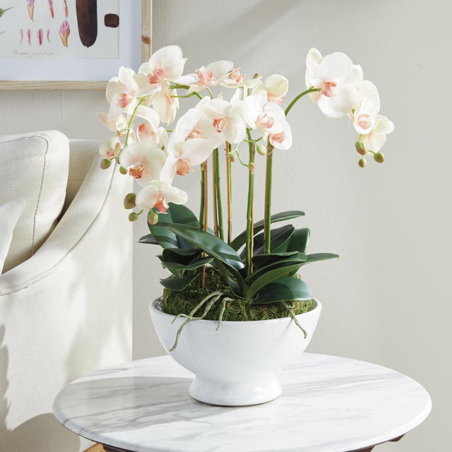 Kenneth Ludwig Chicago Phalaenopsis Orchid Bowl Drop-In 18.5" For Sale - Image 4 of 8