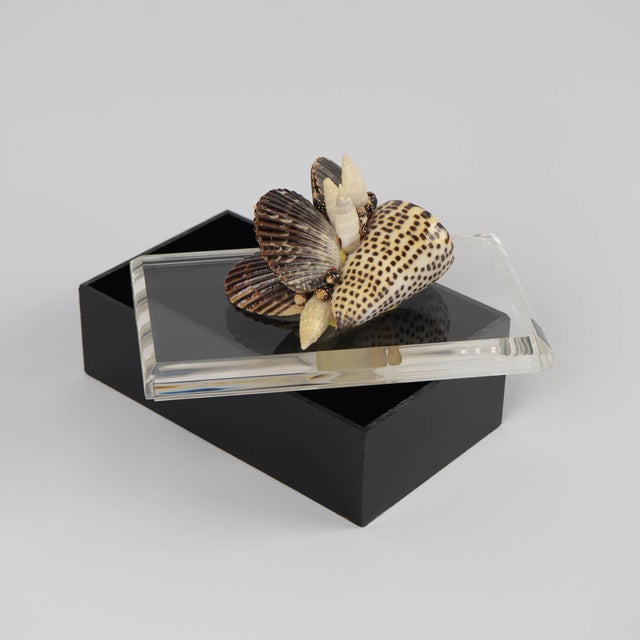 Vintage Lucite Lidded Box With Natural Seashell Cluster Handle For Sale - Image 16 of 16
