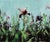 Wither by Matthew Saba | Oil Painting of flowers in a field with a blue background For Sale