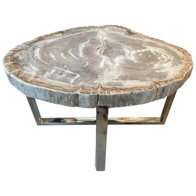 Andrianna Shamaris High Quality Petrified Wood Slab Top Side Table For Sale In New York - Image 6 of 18