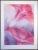 1982 Abstract Botanical Matted Diptych Pastel Drawings by Nancy Denison - a Pair For Sale - Image 4 of 9