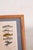 English Late 19th Century British Hand Colored Natural History Engraving Fish (C. 1880s) For Sale - Image 3 of 4