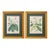 Walter Hood Fitch Botanical Offset Lithographs, 2 For Sale