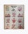 This promotional poster was published by Edward Weston Graphics to commemorate the Art Expo West exhibition held at the...