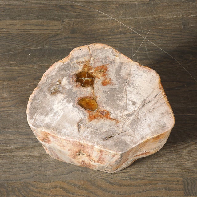 15th Century & Earlier Polished Petrified Wood Side Table/Stool W/ Agate Inclusions & Natural Graining For Sale - Image 5 of 10