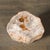 15th Century & Earlier Polished Petrified Wood Side Table/Stool W/ Agate Inclusions & Natural Graining For Sale - Image 5 of 10