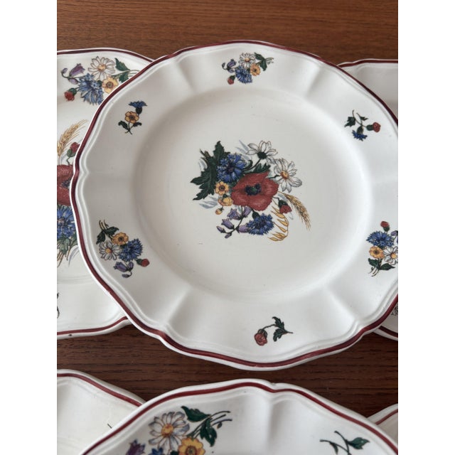 Antique French Earthenware Dessert Plates with Agreste Pattern from Sarreguemines, 1960s, Set of 6 For Sale - Image 10 of 12