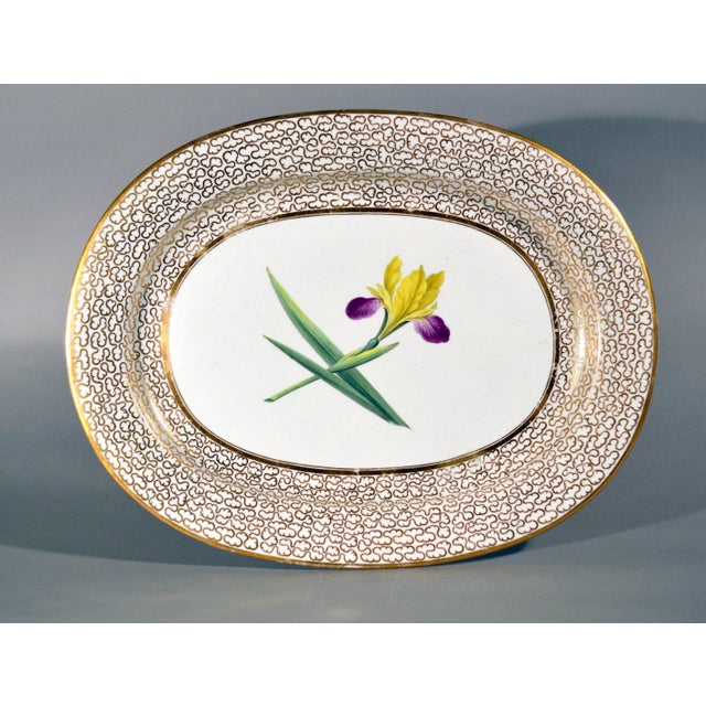 Chamberlain's Worcester Porcelain Botanical Oval Dish Painted with an Iris Circa 1815 This large oval dish is a fine...