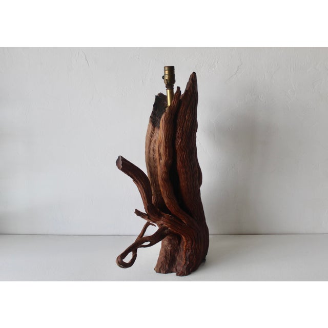 Mid 20th Century Monumental Driftwood Table Lamp Coastal Rustic For Sale - Image 10 of 16