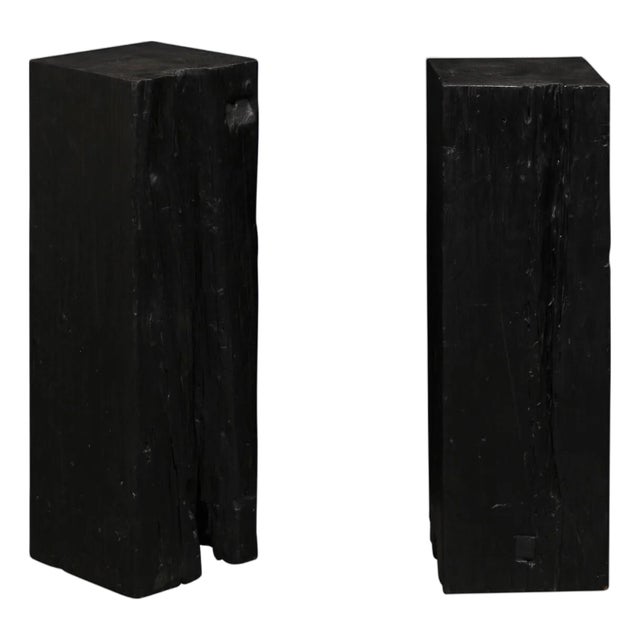 19th Century Indonesian Carbonized Ironwood Pedestals – A Pair For Sale