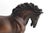 Giovanni Bologna's Bronzed Medici Horse Sculpture, Tabletop 10.5" For Sale - Image 4 of 11