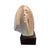 A striking original figurative sculpture by Austin Productions, copyrighted 1980, featuring a graceful female figure with...