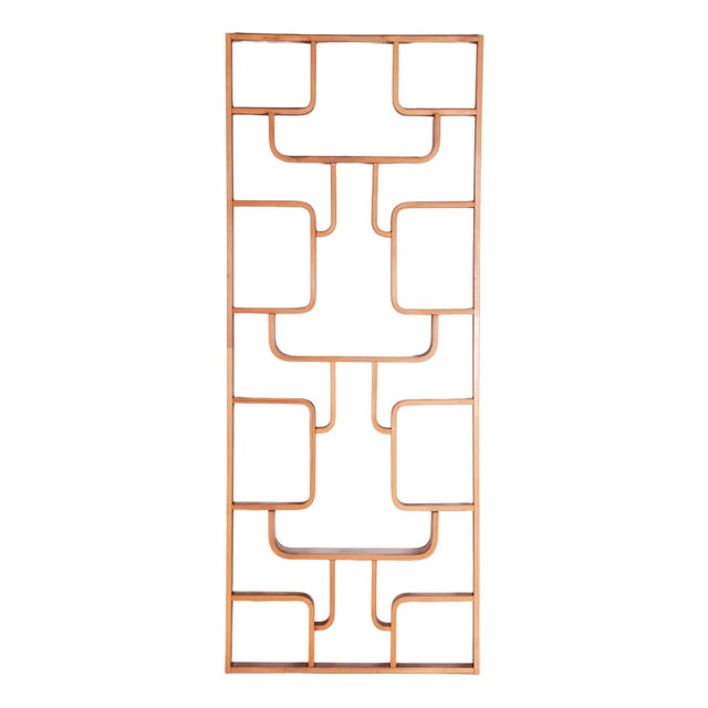 Mid-Century Room Divider in Mahogany attributed to Ludvik Volak for Drevopodnik Holesov, Former Czechoslovakia, 1960s For Sale
