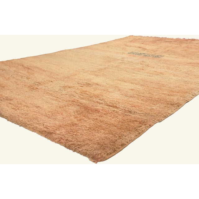 21925 Vintage Beni MGuild Moroccan Rug, 06'02 x 09'10. The Quiet Harvest: A Vintage Beni M'Guild Moroccan Masterpiece of...