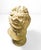 Ecru Neoclassical Greek Goddess Bust Sculpture For Sale - Image 8 of 9