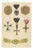 Plate V Orders of Austria with Veteran Badges and Crosses Wood Engraving, 1844 For Sale
