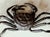 Japanese Bronze Articulated Crab Okimono Meiji by Yasunosuke Ryubundo VI For Sale - Image 12 of 13