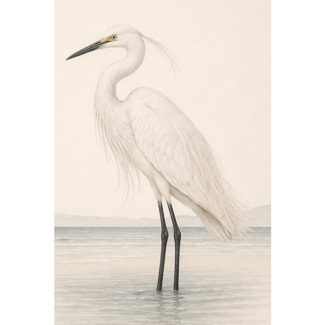Not Yet Made - Made To Order White Egret Coastal Study, Neutral Bird Wall Art Print, 24″ × 36″ Reproduction For Sale - Image 5 of 10