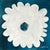 Flower Twenty One. Small Painting by Robin Zingone For Sale