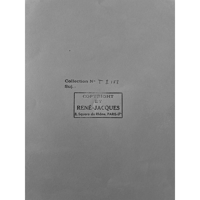 Modern René-Jacques, Kodak (The Photographer’s Cat), 1935, Silver Print For Sale - Image 3 of 4