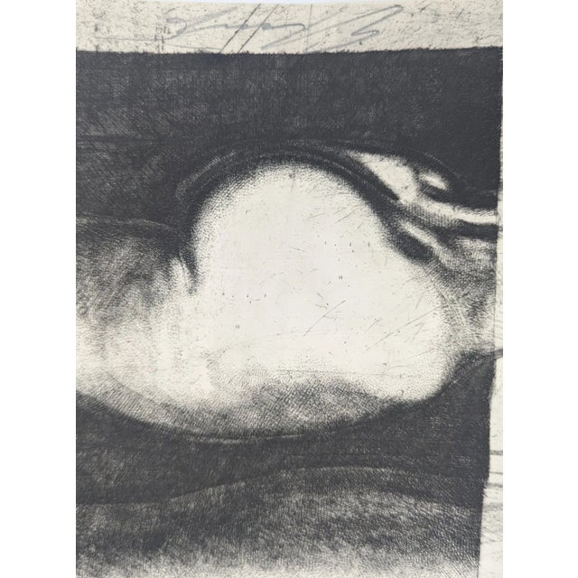 1960's Ernst Fuchs German-Language First Edition of "Der Graphische Werk" For Sale - Image 14 of 16