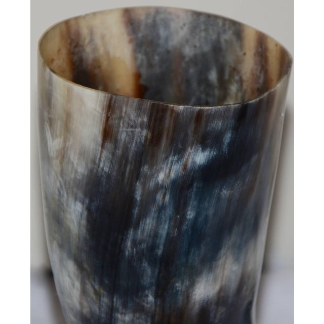 The colors in this buffalo Horn show the true beauty of nature. The black Horn from a buffalo displays striations of...