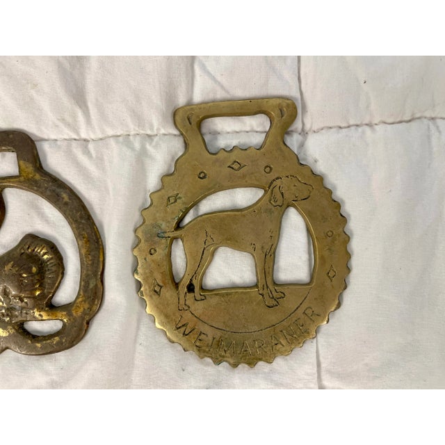 Mid 20th Century Horse Brass Christmas Ornaments - Set of 12 For Sale In Palm Springs - Image 6 of 13