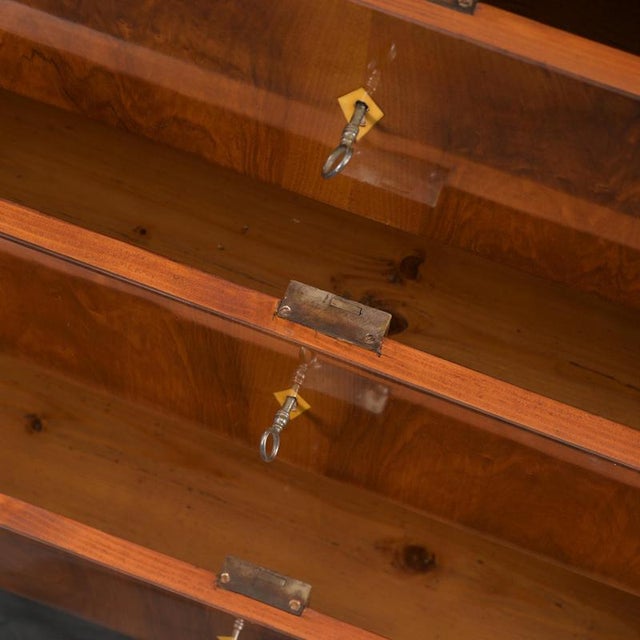 Biedermeier Chest of Drawers, Germany, 1830s For Sale - Image 4 of 8