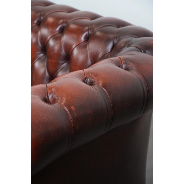 Chesterfield Three-Seater Sofa in Cowhide For Sale - Image 12 of 18