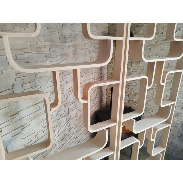 Mid-Century Room Dividers attributed to Ludvik Volak for Drevopodnik Holesov, Czech, 1960s, Set of 2 For Sale - Image 11 of 18