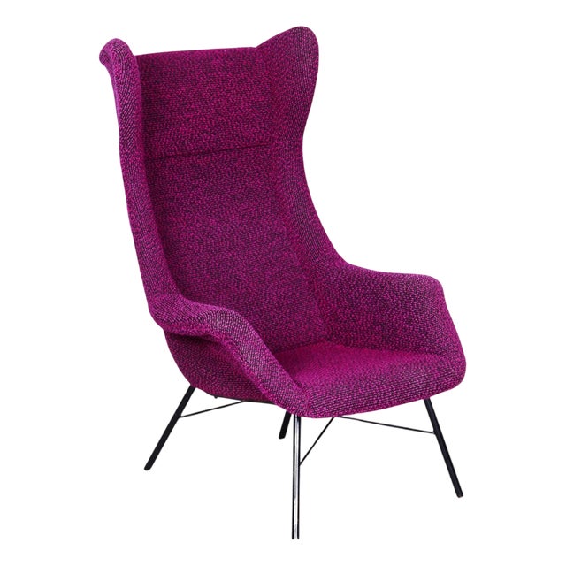 Mid-Century Wingchair in Plastic Fiber from Miroslav Navratil, Czech, 1950s For Sale