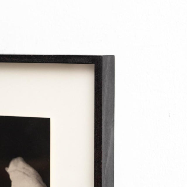 Albarran & Cabrera, Mouth of Krishna, Photographic Print, 2010s For Sale - Image 9 of 12