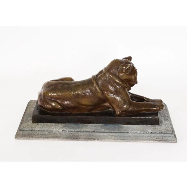 Gold Louis Riche, Antique Sculpture of Lioness, Early 20th Century, Bronze For Sale - Image 8 of 12
