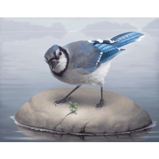 Blue Jay by Susan McDonnell | Oil on panel Bird standing on a rock by water. For Sale