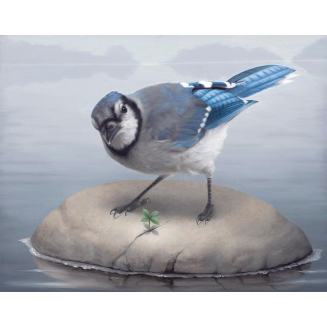 Blue Jay by Susan McDonnell | Oil on panel Bird standing on a rock by water. For Sale
