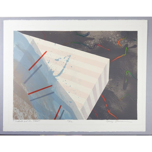 Late 20th Century Late 20th Century Honey Beeman Op Art Abstract Lithograph For Sale - Image 5 of 5