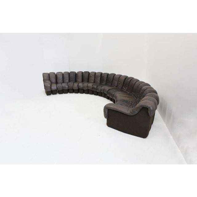 Vintage DS-600 Non Stop Snake Sofa from de Sede, 1970s, Set of 22 For Sale - Image 10 of 14
