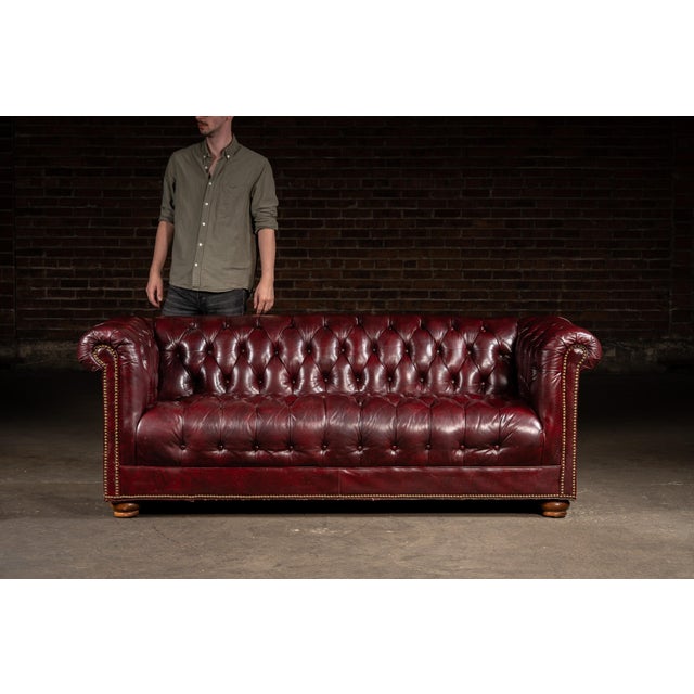 Classic tufted-leather Chesterfield sofa upholstered in deep oxblood red hide with brass nailhead trim and turned hardwood...
