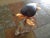 Nautical Sea Turtle Murano Glass Sculpture by Adriano Dalla Valentina For Sale - Image 3 of 13