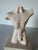 Ceramic 1980s Vintage Margos Male Nude Torso Figurative Ceramic Sculpture For Sale - Image 7 of 12