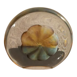 1980s Signed Michael O'Keefe 9/89 Veiled Underwater Translucent Paperweight