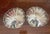 Pair of Sterling Silver Shell Dishes For Sale - Image 4 of 5