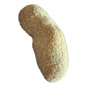 Natural Real Coral White Reef Decor