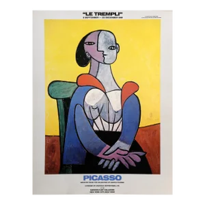 Femme a La Chaise Sur Fond Jaune ;le Trempli, Pablo Picasso Poster