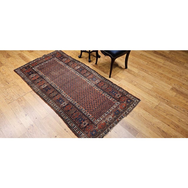 Persian Antique Persian Kurdish Rug, Hand-Knotted Wool, All-over Paisley Pattern, Rust & Navy, 3x6 For Sale - Image 3 of 17