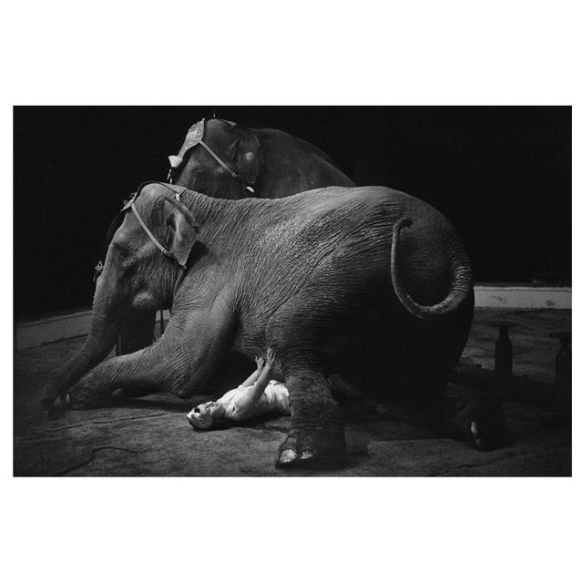 'Heavyweight' Unframed Archival Pigment Print For Sale