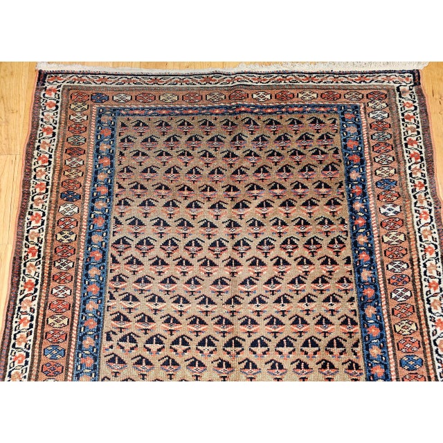 Vintage Persian Kurdish Bidjar Gallery Rug, Hand-Knotted Wool, Allover Paisley Design, Camelhair & Blue, 5x12 For Sale - Image 9 of 16