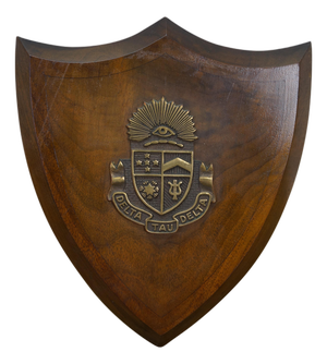 Vintage Delta Tau Delta Bronze & Walnut Fraternity Shield Wall Plaque Crest 11"